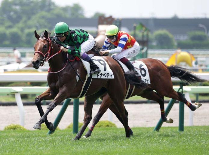 【函館本紙・木津の日曜函館11Ｒ】 | 日刊ゲンダイ競馬