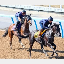 ローシャムパークはここから半馬身先着でフィニッシュ（左）