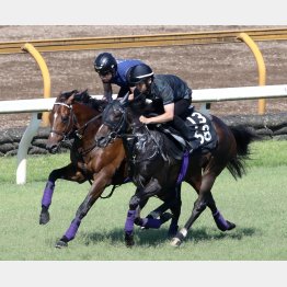 【宝塚記念】調教マル得チェック① | 日刊ゲンダイ競馬