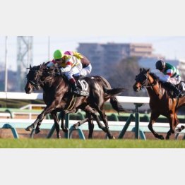 【東京本紙・外山の土曜東京11Ｒ】 | 日刊ゲンダイ競馬