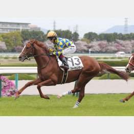 ４月の未勝利戦でデビュー勝ち