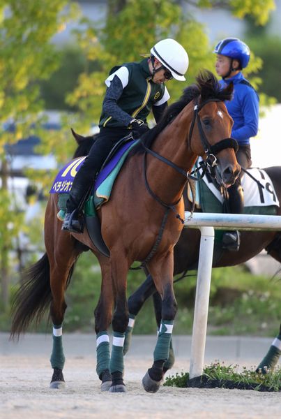 【宝塚記念】出走全馬の特選情報 | 日刊ゲンダイ競馬