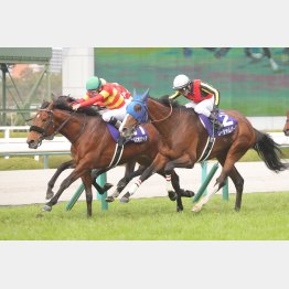 【大阪本紙・弘中の宝塚記念】 | 日刊ゲンダイ競馬