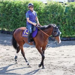 【飯島の日曜競馬コラム・宝塚記念】｜飯島の１日１鞍