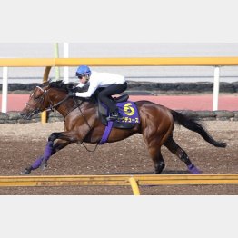 【武田の日曜競馬コラム・宝塚記念】｜武田記者 データがベース