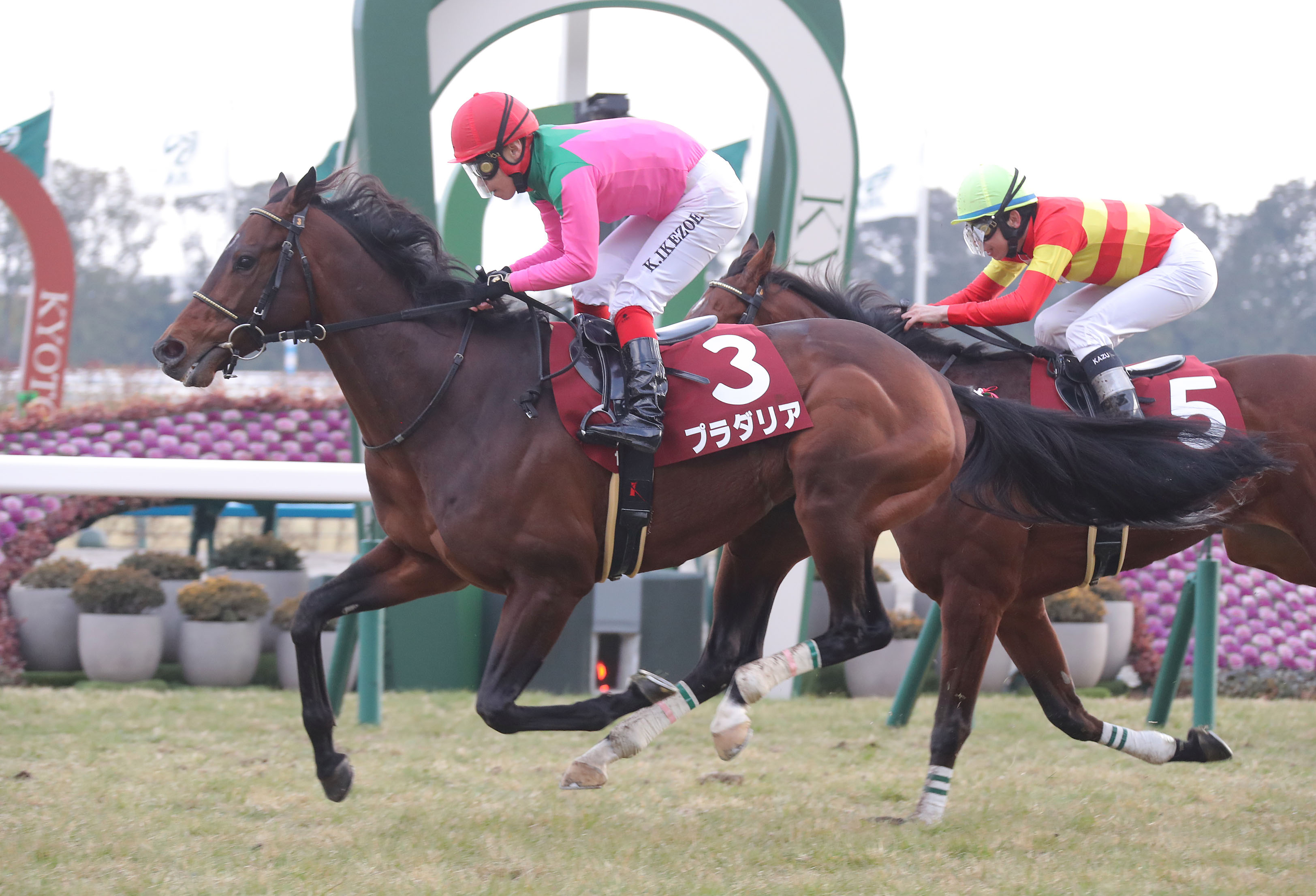 【亀井の日曜競馬コラム・宝塚記念】｜亀井記者の血統ロックオン