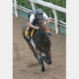 【北九州記念】サーマルウィンドＡ評価 | 日刊ゲンダイ競馬