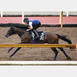 【ラジオＮＩＫＫＥＩ賞】調教マル得チェック | 日刊ゲンダイ競馬