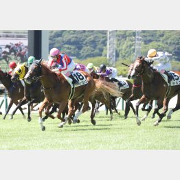 昨夏の小倉６Ｆ芝で勝ち上がり