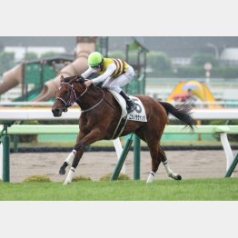 初戦は４馬身差で逃げ切り