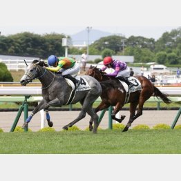 ２戦目に快勝