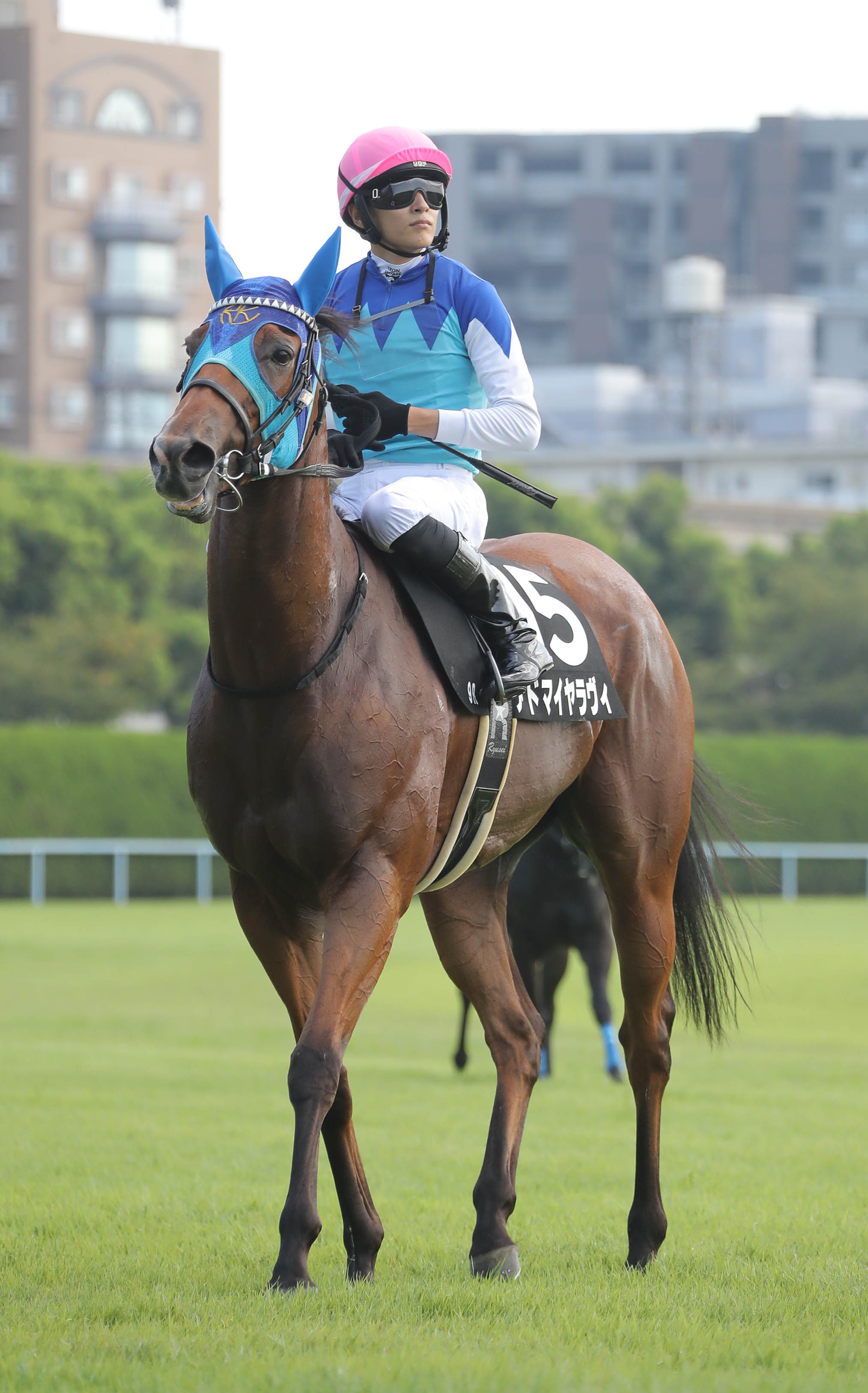 【田中の日曜競馬コラム・佐世保Ｓ】｜田中翔大 必翔馬券