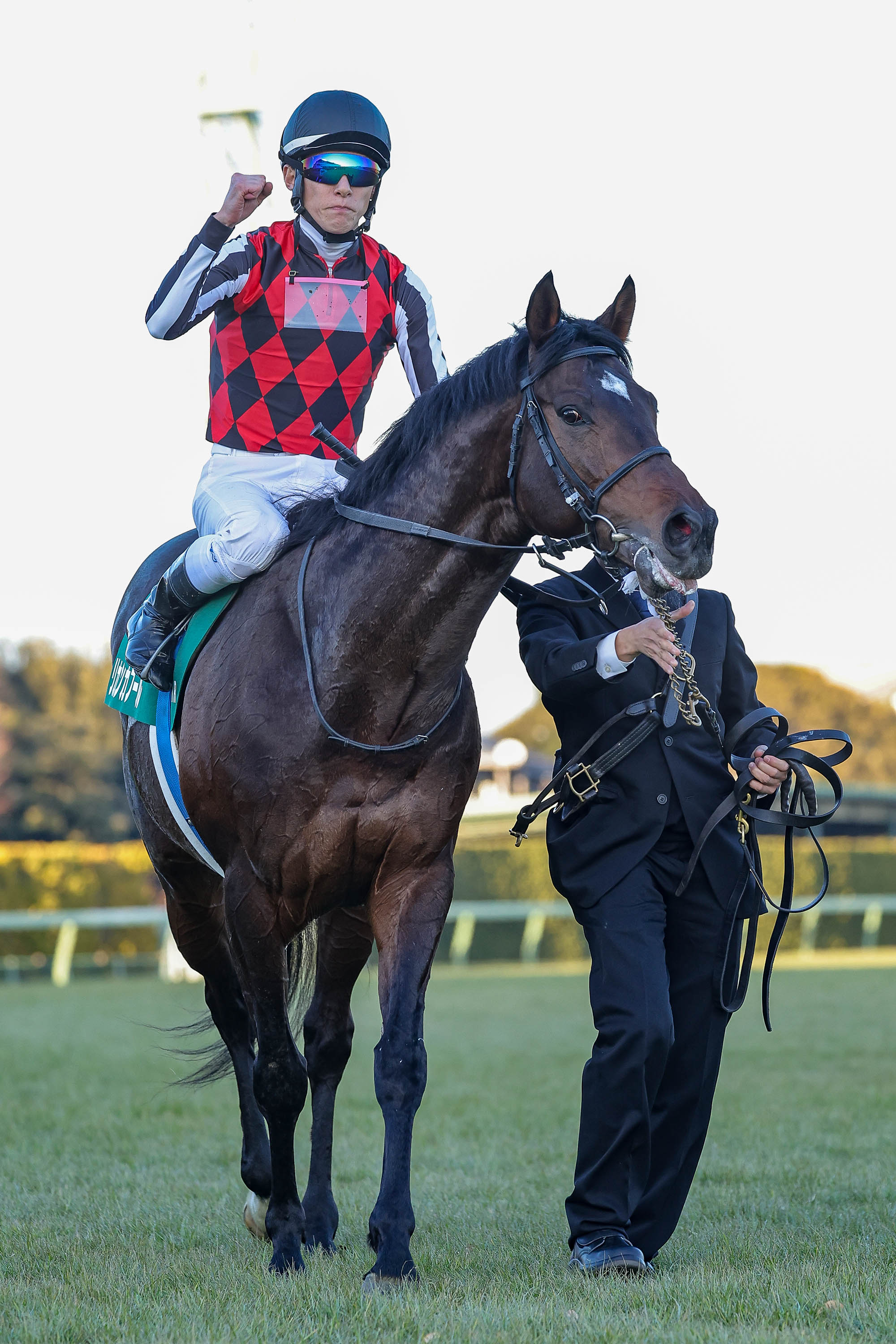 【新谷の日曜競馬コラム・函館記念】｜新谷式レースレート 数字が走る