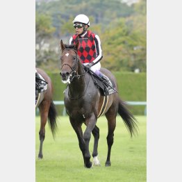 【勝羽の日曜競馬コラム・函館記念】｜勝羽太郎 情報ノート