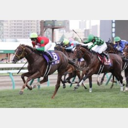 【市川の日曜競馬コラム・函館記念】｜市川が人気馬を斬る