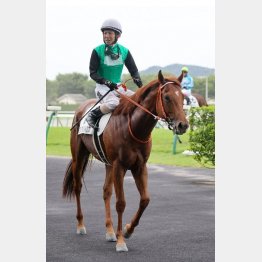 【飯島の日曜競馬コラム・横手特別】｜飯島の１日１鞍