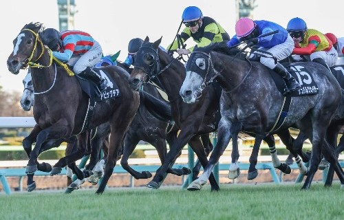 【橘の日曜競馬コラム・福島テレビオープン】｜鬼才・橘 万券アタック