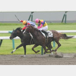 同着で勝ち上がったアルベリック