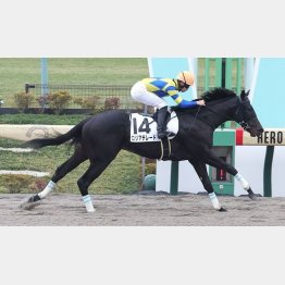 【レスキュー隊の日曜競馬コラム・福島12Ｒ】｜最終レスキュー 最後にアナタを助…