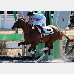 昨年２月に中山千八で未勝利を完勝