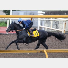 最後まで馬なりのままだったエピファニー