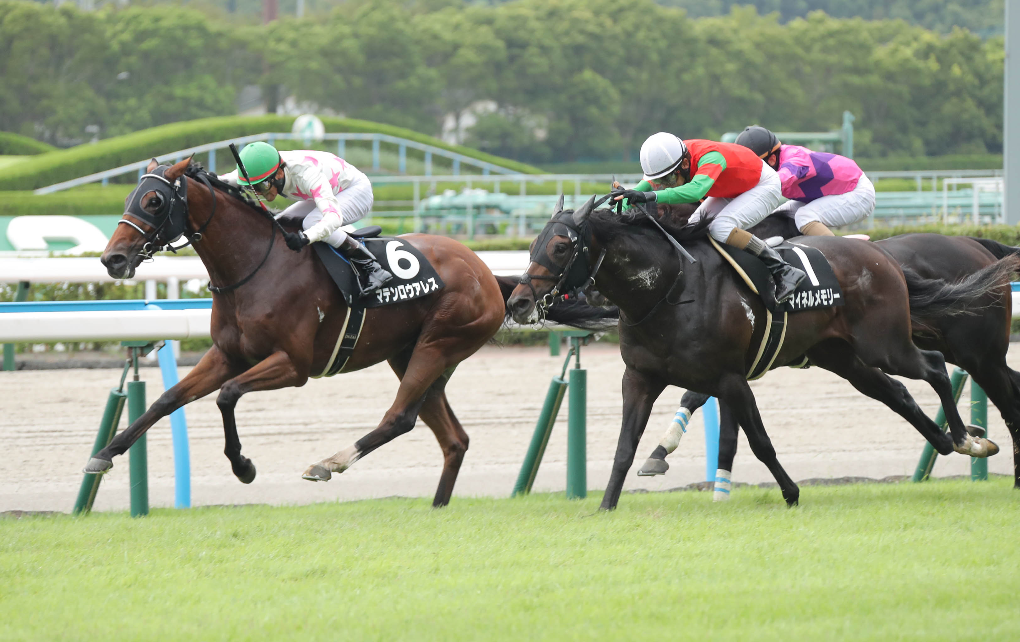 【播磨の土曜競馬コラム・テレＱ杯】｜播磨政勝 競馬道楽