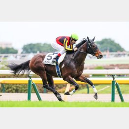 【新谷の土曜競馬コラム・白河特別】｜新谷式レースレート 数字が走る