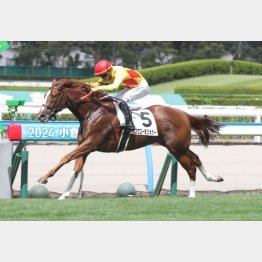 前走は１馬身差で快勝