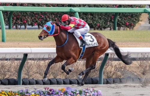 【橘の土曜競馬コラム・ＴＵＦ杯】｜鬼才・橘 万券アタック