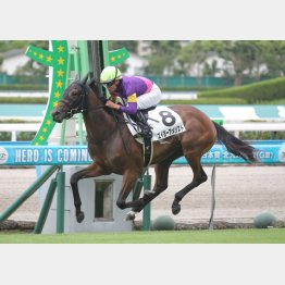 新馬戦は②着に9馬身差の圧勝