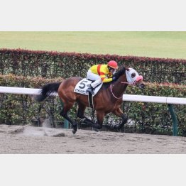 ２月の東京で初勝利