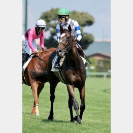 【飯島の日曜競馬コラム・米沢特別】｜飯島の１日１鞍