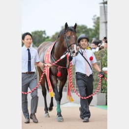 毎日王冠勝ちがモノを言う