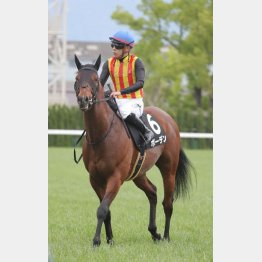 【武田の日曜競馬コラム・中京記念】｜武田記者 データがベース