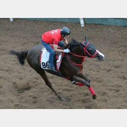 【橘の日曜競馬コラム・中京記念】｜鬼才・橘 万券アタック