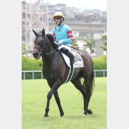 【田中の日曜競馬コラム・宗像特別】｜田中翔大 必翔馬券