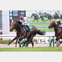 【亀井の日曜競馬コラム・小倉１１Ｒ・中京記念】｜亀井記者の血統ロックオン