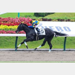 ２勝目を挙げて重賞挑戦へ