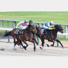 【武田の土曜競馬コラム・ＢＳＮ賞】｜武田記者 データがベース