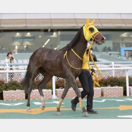 【橘の土曜競馬コラム・ＢＳＮ賞】｜鬼才・橘 万券アタック