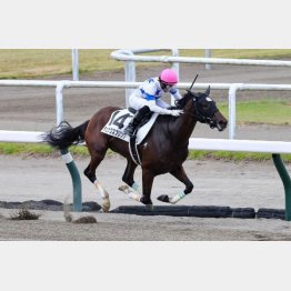 昨夏の新潟で初勝利