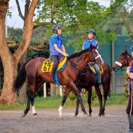 【田中の日曜競馬コラム・小倉記念】｜田中翔大 必翔馬券