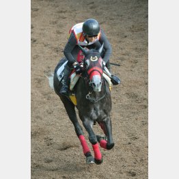 【亀井の日曜競馬コラム・小倉記念】｜亀井記者の血統ロックオン