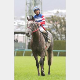 【播磨の日曜競馬コラム・小倉記念】｜播磨政勝 競馬道楽