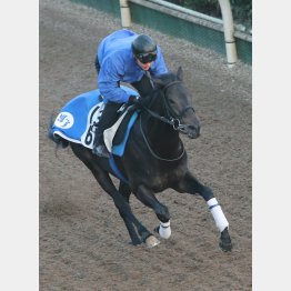 【勝羽の日曜競馬コラム・小倉記念】｜勝羽太郎 情報ノート