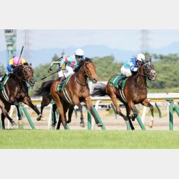 今年も馬券圏内へ（左のピンク帽）