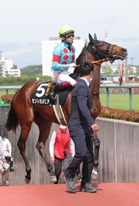 【市川の日曜競馬コラム・小倉記念】｜市川が人気馬を斬る