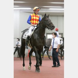 田中推しのテーオースパローは夏馬