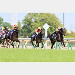 ２走前はＧⅠで差のない競馬（赤帽）