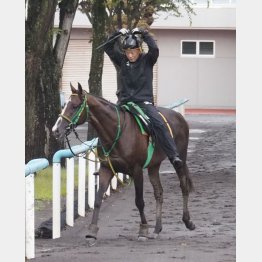 アドミラルシップと三尾助手